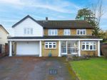 Thumbnail for sale in Ripley View, Loughton