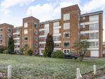 Thumbnail to rent in Lawn Road, Guildford