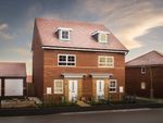 Thumbnail to rent in "Kingsville" at Cardamine Parade, Stafford