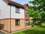 Thumbnail to rent in Gascoigne Court, Falkirk, Stirlingshire