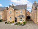 Thumbnail for sale in Collings Crescent, Biggleswade