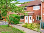 Thumbnail to rent in Bluebell Meadow, Newton Aycliffe, County Durham
