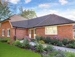 Thumbnail for sale in Manorwood, West Horsley, Leatherhead, Surrey