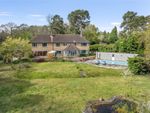 Thumbnail for sale in Leigh Lane, Farnham, Surrey