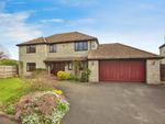 Thumbnail for sale in The Paddocks, Ilchester, Yeovil