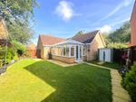Thumbnail for sale in Bintree Close, Hamilton, Leicester