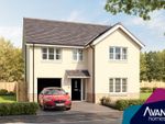 Thumbnail to rent in "The Stirling" at Sycamore Drive, Penicuik