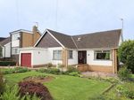 Thumbnail to rent in Pinewood Avenue, Bolton Le Sands, Carnforth
