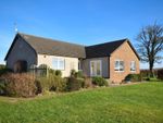 Thumbnail to rent in Cuthlie, Arbroath, Angus