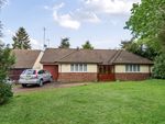 Thumbnail to rent in Rolfe Close, Barnet