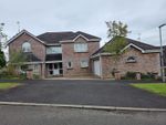 Thumbnail to rent in Ashcroft, Londonderry