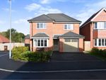 Thumbnail to rent in Williams Lane, Preston