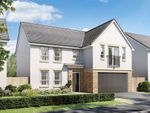 Thumbnail to rent in "Colville" at Barons Drive, Roslin