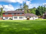 Thumbnail for sale in Grayshott, Hindhead, Hampshire