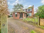 Thumbnail to rent in Winchester Hill, Romsey, Hampshire