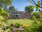 Thumbnail for sale in West Broyle Drive, West Broyle, Chichester, West Sussex