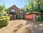Thumbnail for sale in Horsell, Woking, Surrey