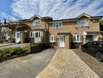 Thumbnail for sale in Snowdon Close, Eastbourne, East Sussex