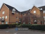 Thumbnail to rent in Farthingale Court, Waltham Abbey