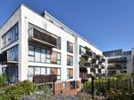 Thumbnail to rent in Somerhill Avenue, Hove, East Sussex