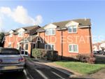 Thumbnail to rent in Vincenzo Close, North Mymms, Hatfield
