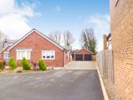 Thumbnail for sale in Old Crow Hall Lane, Cramlington