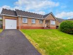 Thumbnail to rent in Laurel Bank, Whitehaven