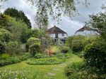 Thumbnail for sale in Newham Lane, Steyning, West Sussex