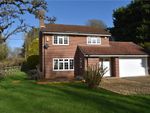 Thumbnail to rent in Hampstead Norreys, Thatcham
