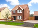 Thumbnail to rent in "The Scrivener" at Cedar Close, Bacton, Stowmarket
