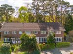 Thumbnail to rent in Pinetrees Close, Copthorne, Crawley