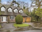 Thumbnail for sale in Musgrave Close, Hadley Wood, Hertfordshire