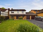 Thumbnail for sale in Stoneleigh Close, Newton Abbot