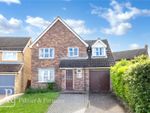 Thumbnail for sale in Egret Crescent, Colchester, Essex