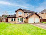 Thumbnail for sale in Braid Avenue, Motherwell