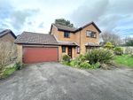 Thumbnail for sale in Spinacre, Barton On Sea, New Milton, Hampshire