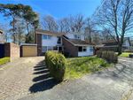 Thumbnail for sale in Borrowdale Gardens, Camberley, Surrey