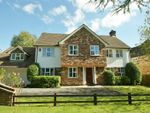 Thumbnail to rent in Woodchester Park, Knotty Green, Beaconsfield, Buckinghamshire