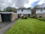 Thumbnail for sale in Shadforth Close, Peterlee, County Durham
