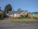 Thumbnail to rent in Lady Lodge Drive, Peterborough