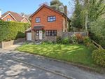 Thumbnail for sale in Swaines Way, Heathfield, East Sussex