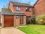 Thumbnail to rent in The Meadows, Lyndhurst, Hampshire