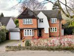 Thumbnail for sale in Abington Park Crescent, Abington, Northampton