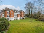 Thumbnail for sale in Grenville Place, Percy Gardens, Blandford Forum