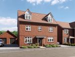 Thumbnail for sale in Minerva Heights, Old Broyle Road, Chichester, West Sussex