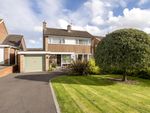 Thumbnail for sale in Elgar Avenue, Hereford