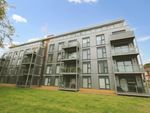 Thumbnail to rent in Newsom Place, St Albans