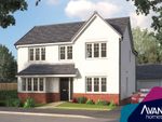 Thumbnail to rent in "The Rainbrook" at Draffen Mount, Stewarton, Kilmarnock