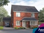 Thumbnail to rent in "The Nutwood" at Buckthorn Drive, Barton Seagrave, Kettering