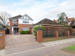 Thumbnail for sale in Kimbolton Road, Bedford, Bedfordshire